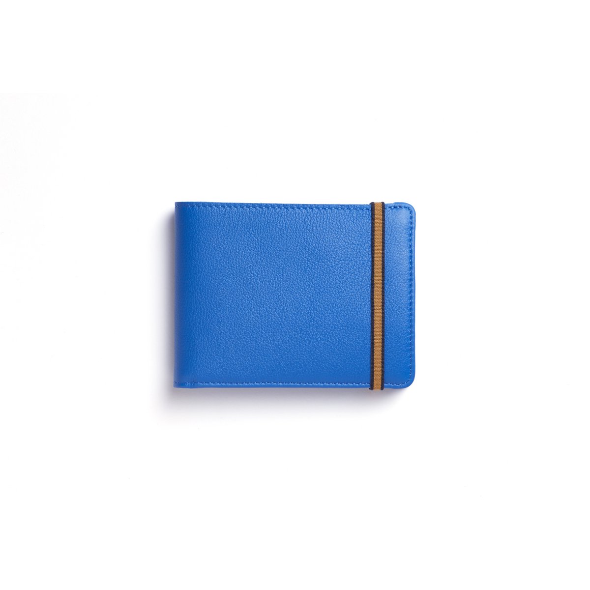 Hellblaue minimalistische Geldbörse mit Münzfach