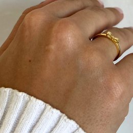 Anillo de bucle