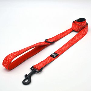 Dog leash Northstar