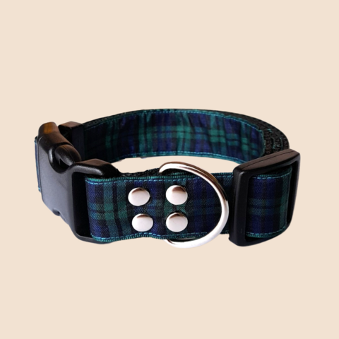 Black Watch Tartan Collar