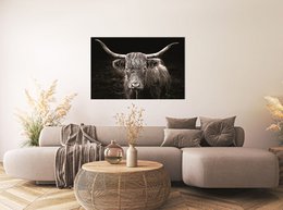 Wandbild HOCHLANDRIND ca. 78x118 cm  Leinwandbild Keilrahmen Deko modern
