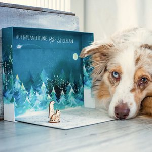 Schnauzberts winterreis - De adventskalender voor mensen met honden