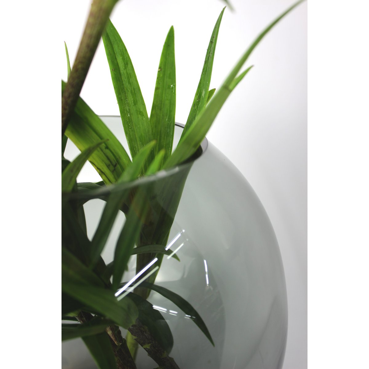 Vase glas rund grå glasvase håndlavet kuglevase lav