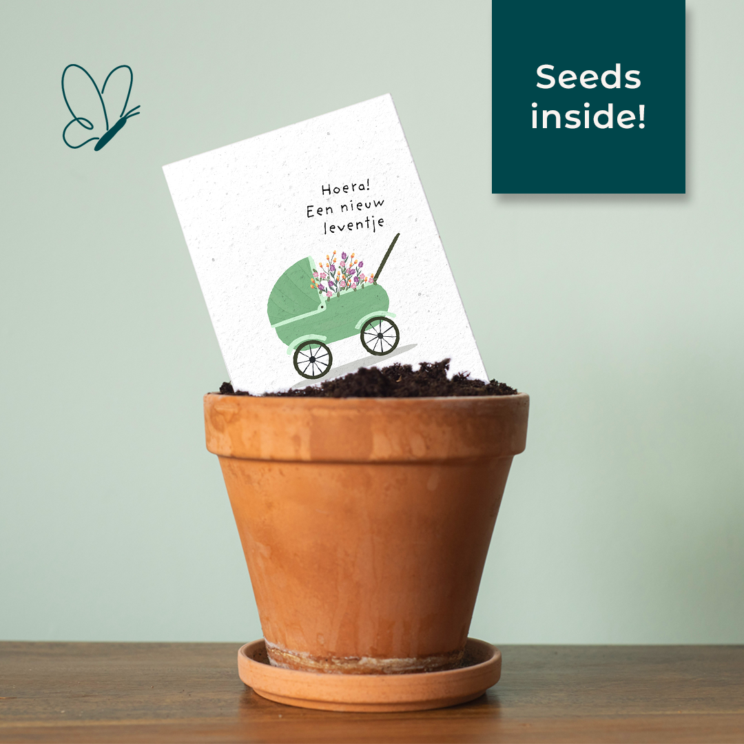 Seed paper greeting card - Stroller