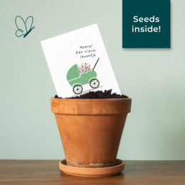 Seed paper greeting card - Stroller