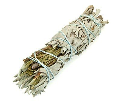 Witte Salie & Ceder voor Bescherming 10 cm