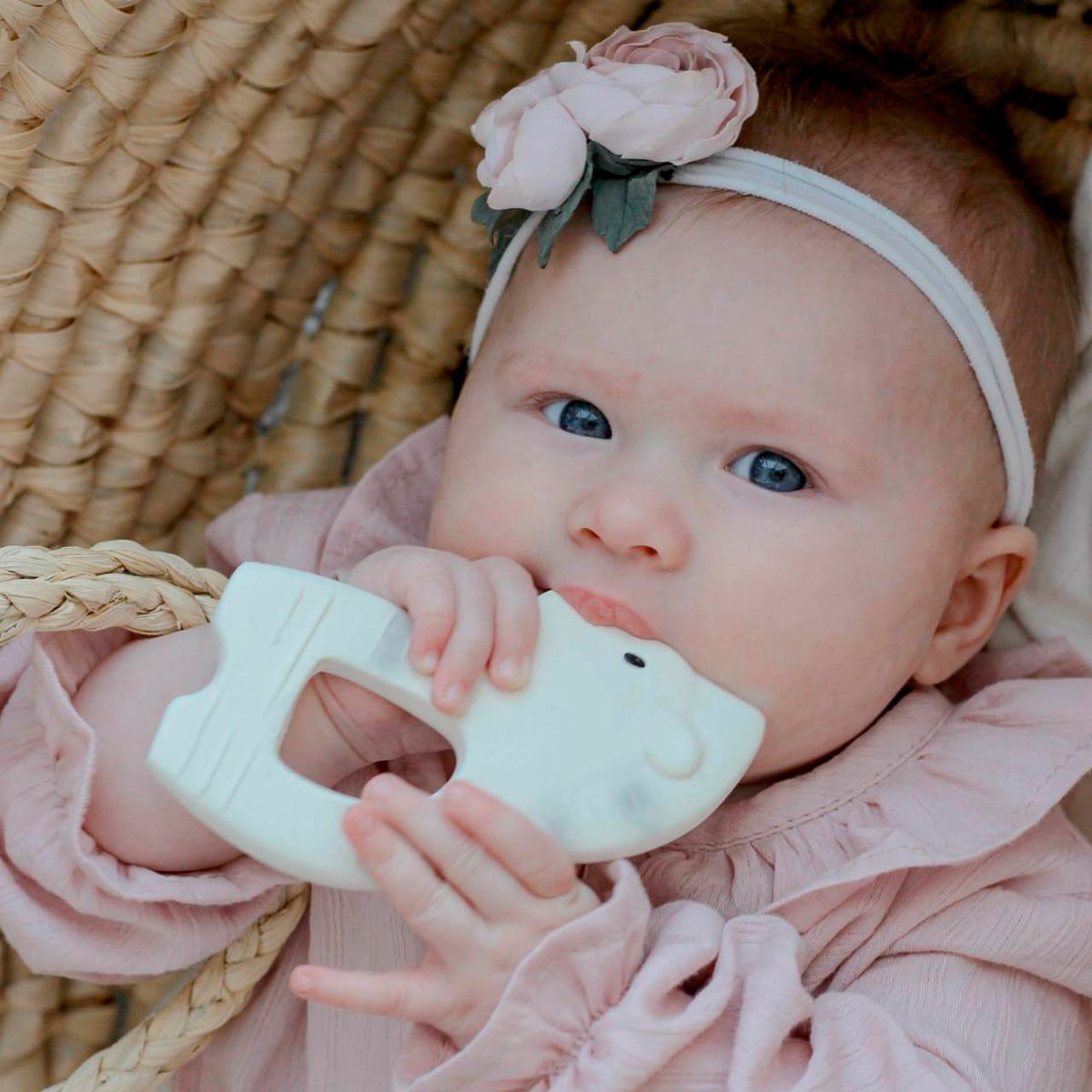 Teether - Zebra
