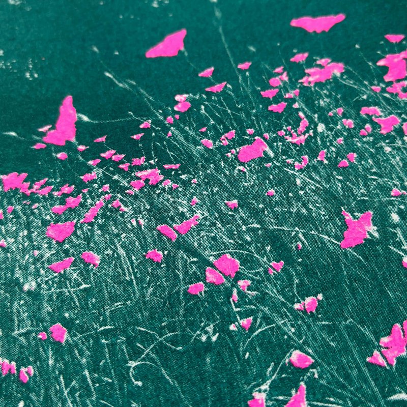 Riso Postkarte Kornblume, Risographie, DIN A6