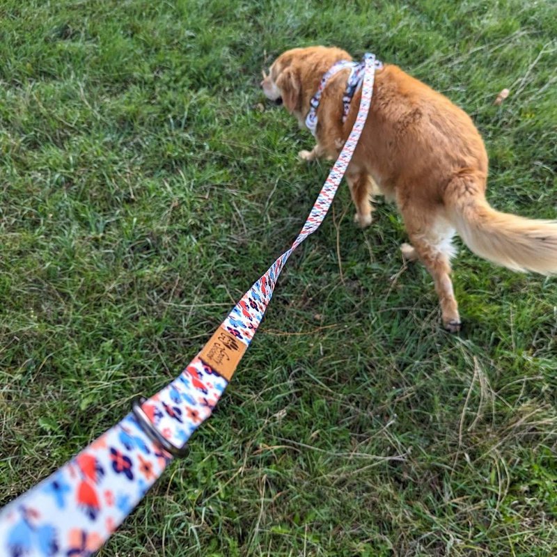 Laisse pour chien Printemps