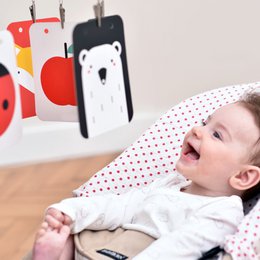 Pack bébé à contraste élevé