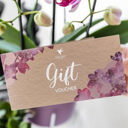  Gift voucher card with purple orchid flowers, kraft paper, elegant floral design, gift certificate