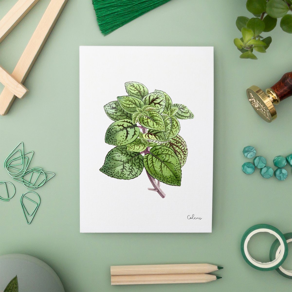 Green Pack - Handgemaakte Ansichtkaarten A6 met Envelop - Botanische Vintage