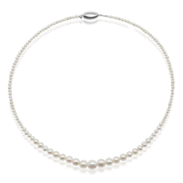 A delicate pearl necklace with a simple, elegant design. The necklace features a string of small, round pearls in a classic style.