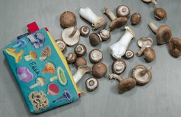Etui UPG - Champignon