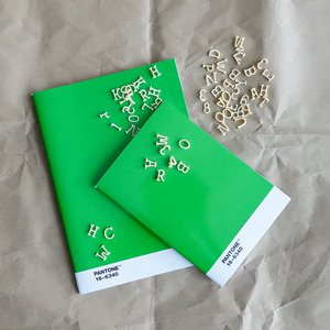 PANTONE BOOKLET SET OF 2 PCS - DOTTED PAGES