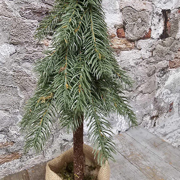 Demu puntboom jute green H60cm (39331)