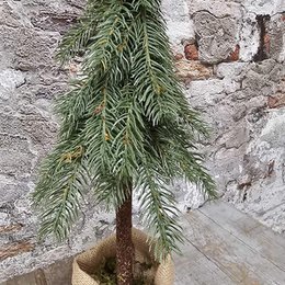 Demu puntboom jute green H60cm (39331)