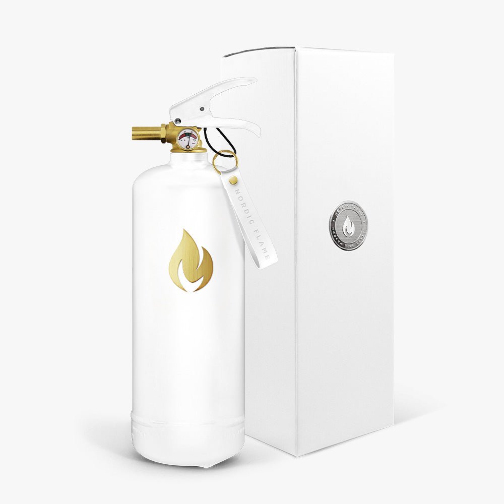 Fire Extinguishers 2 kg - White Gold