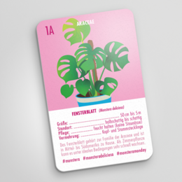 PLANT QUARTET