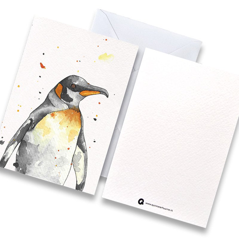 Cartoncino colore pinguino con busta