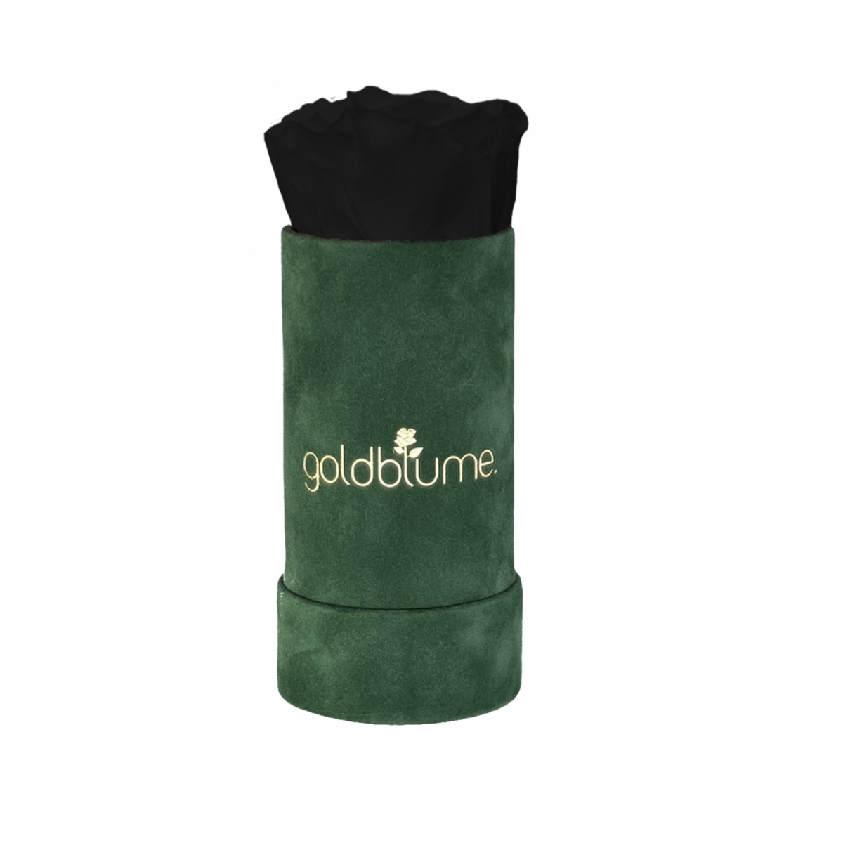 Velvet Green Collection