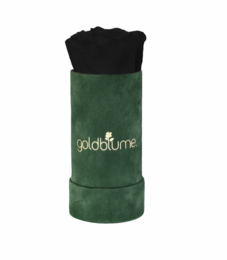 Velvet Green Collection