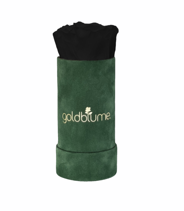 Colección Terciopelo Verde