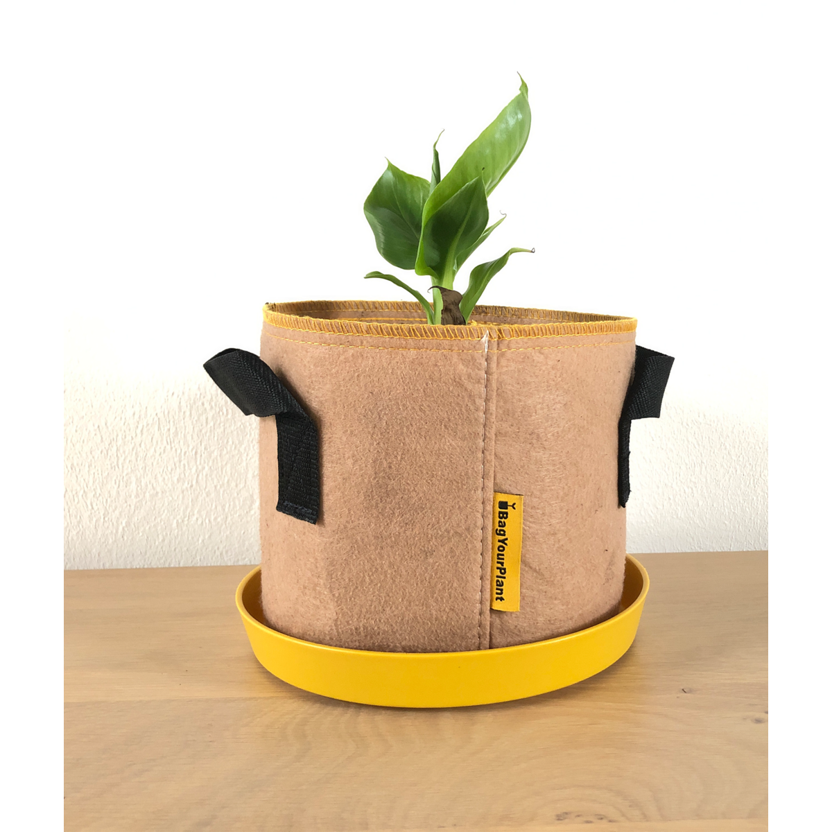 Bag Terracotta met schaal