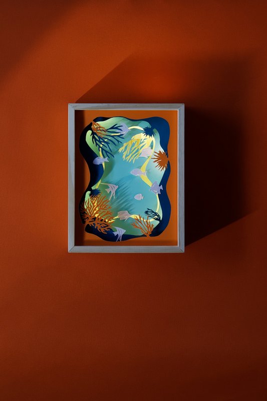 fish light frame
