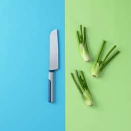 Coltello Santoku grande 32 cm Tasty Core