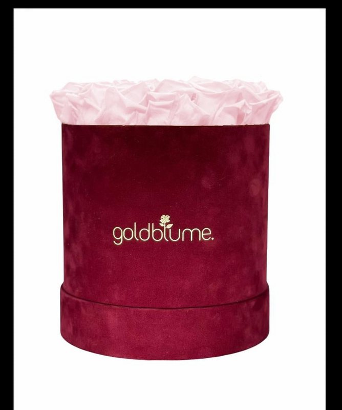 Velvet Bordeaux Collection