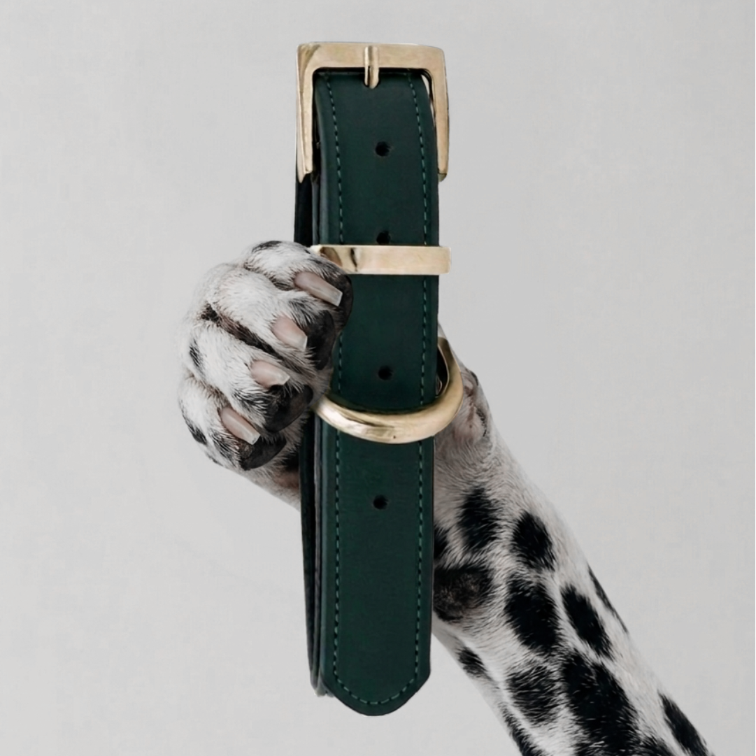 COLLIER CHURCHILL. Vert Sapin – Collier chien cuir wegańskie