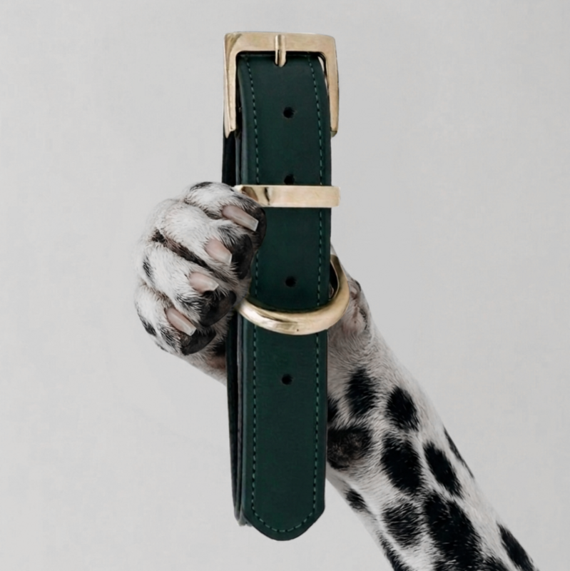 COLLIER CHURCHILL. Vert Sapin – Collier chien cuir vegano