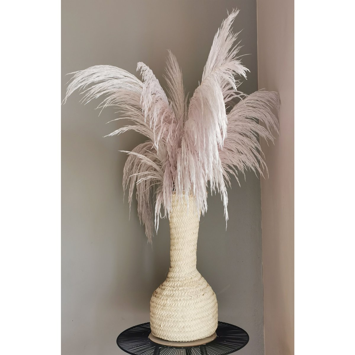Pampas Light Lavender, stabilizowany, +/- 80cm, 1 łodyga