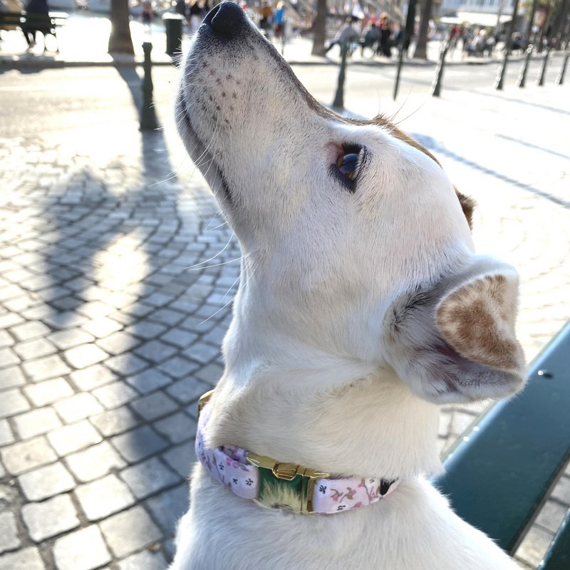 Collana "LADY" stampa Liberty
