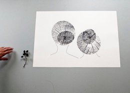 Sisaret – screen print