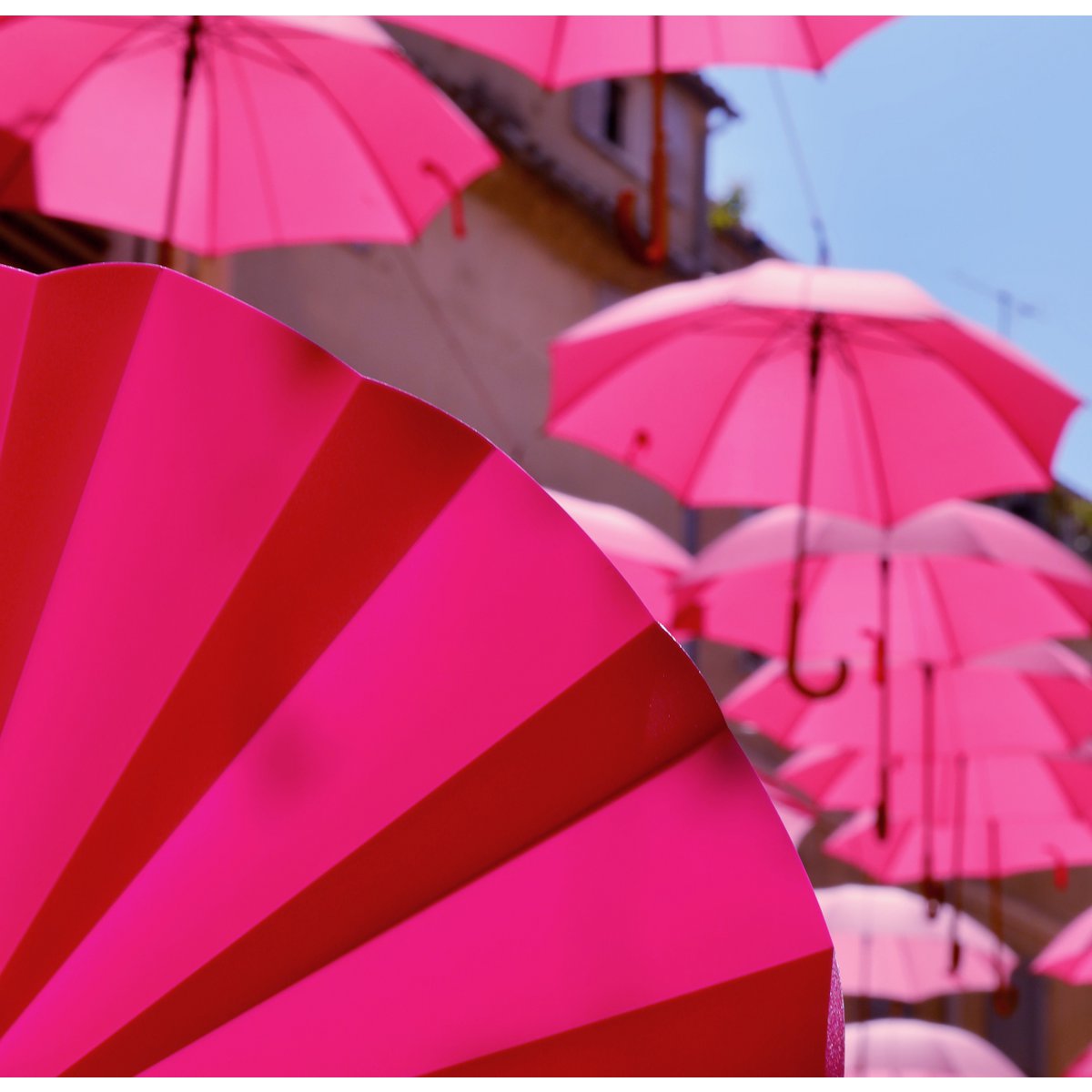 Abanico, abanico, abanico, rosa opaco