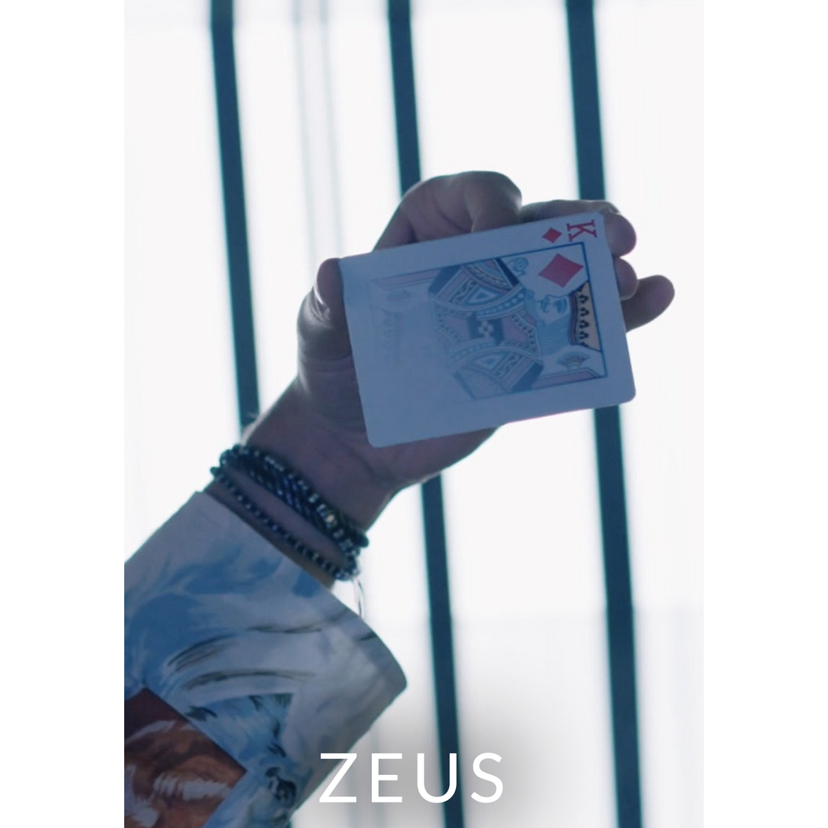 ZEUS