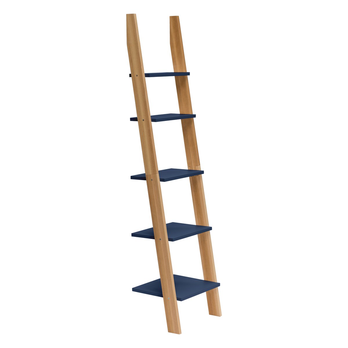 ASHME Laddershelf