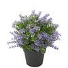 Künstliche Pflanzenboxholz lila 22 cm UV