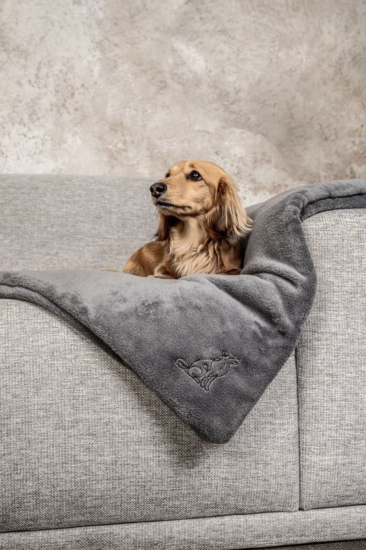 Manta para perros Emma gris oscuro (vegana)