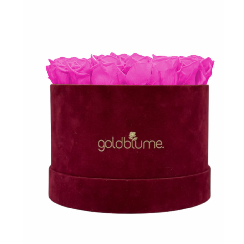 Collection Velours Bordeaux
