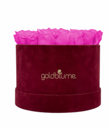 Velvet Bordeaux Collection