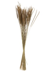 J-Line dry flowers - dried Oriental Fountain grasses - natural