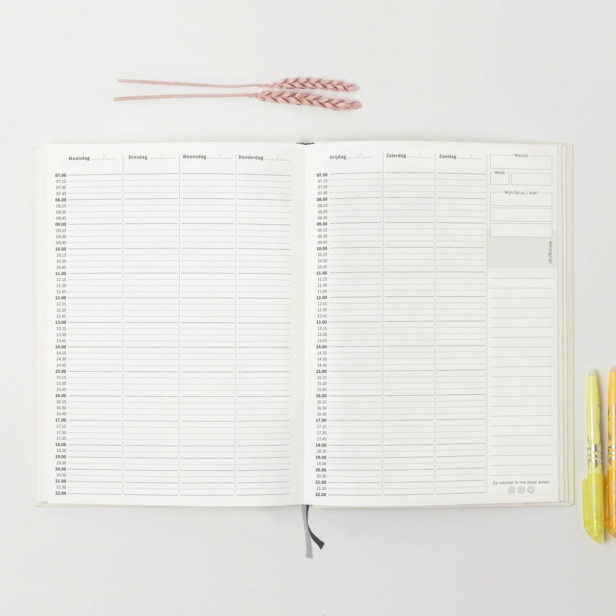 Prikkelarme planner Mandala - Medium / A5+ ongedateerd