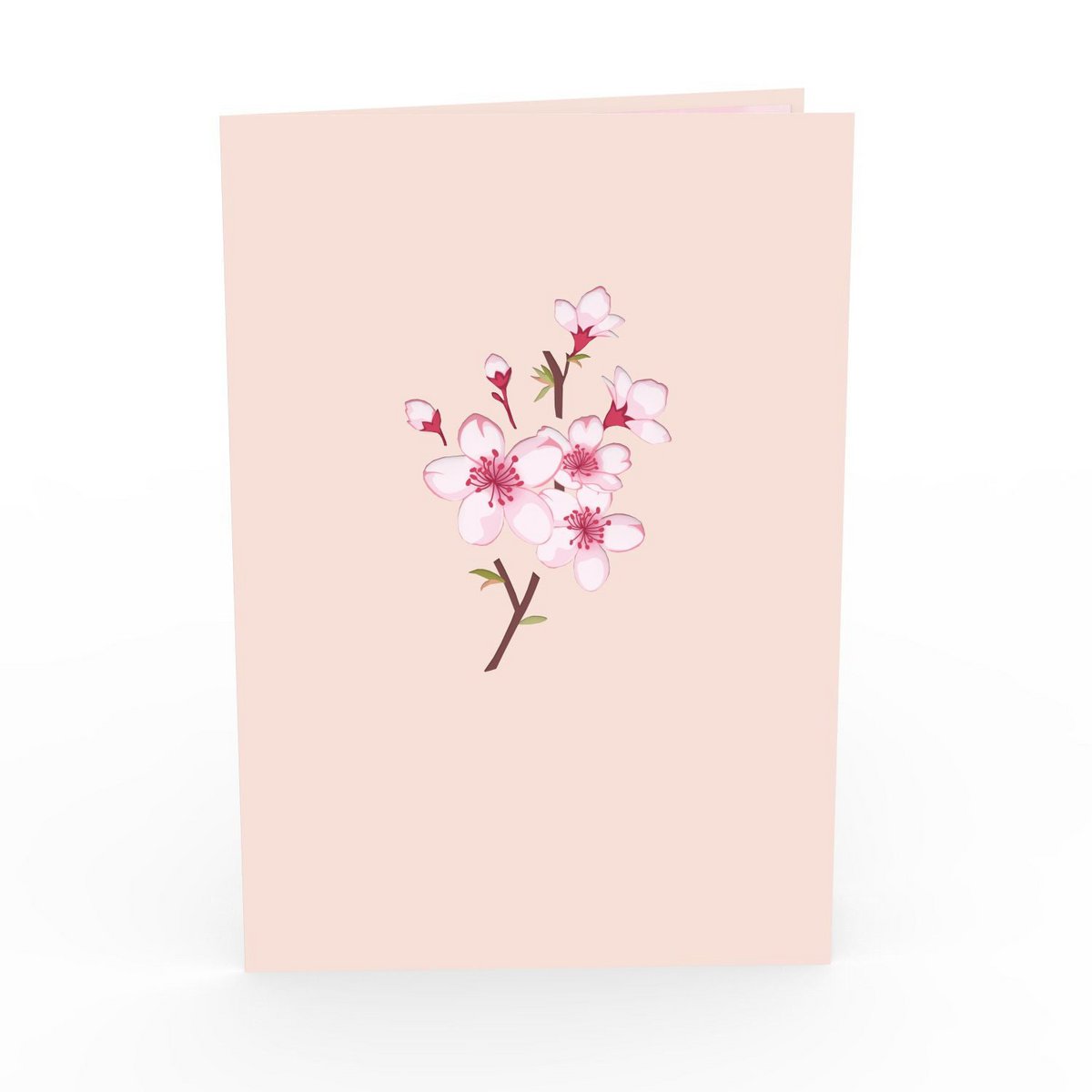 Kirsebærblomster træpop-up-kort