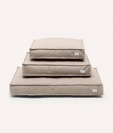 Beige Hundeseng, Cuadra