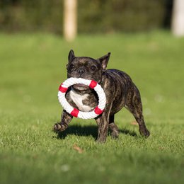 Rita reddingsboei - cultspeelgoed voor honden