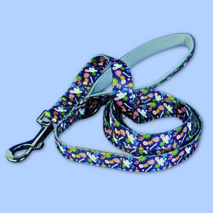 Deep agua dog leash