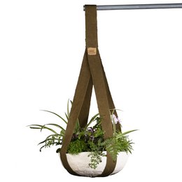 A round, brass pot with a hanging plant arrangement featuring various greenery and a small red flower.